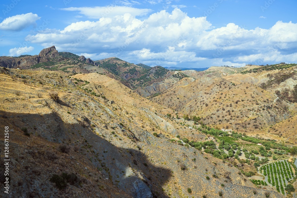 Olive groves and mountains around Ghost Town, Pentedattilo Village, Calabria, Italy, Europe Olive groves and mountains around Ghost Town, Pentedattilo Village, Calabria, Italy, Europe