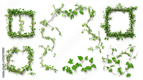 Wallpaper Mural Jungle liana frames and branches set isolated on white background. Vector cartoon illustration of square and round borders, wood decorated with green vine and foliage, tropical rainforest plant Torontodigital.ca