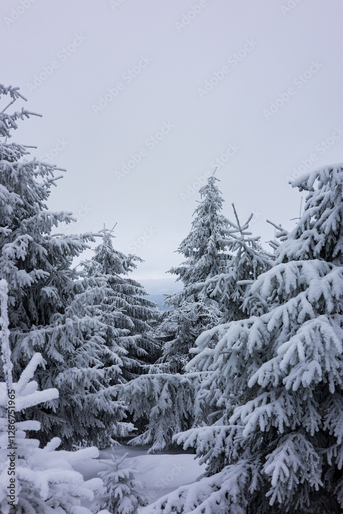 Fototapeta premium Tantalizing distance