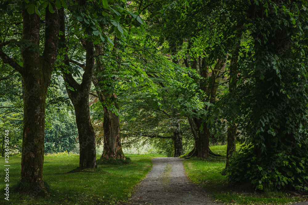 Norwegian Culture landscape