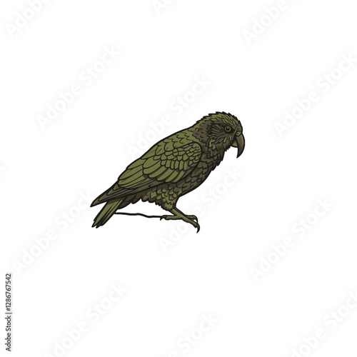Kea Bird Vector Logo Design