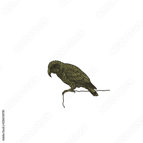 Kea Bird Vector Logo Design