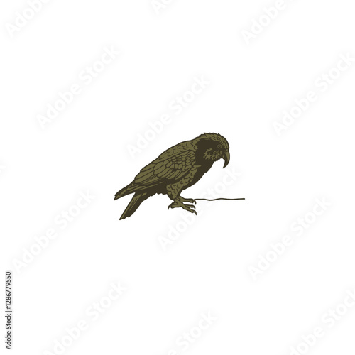Kea Bird Vector Logo Design