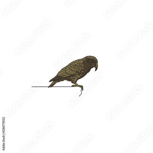 Kea Bird Vector Logo Design