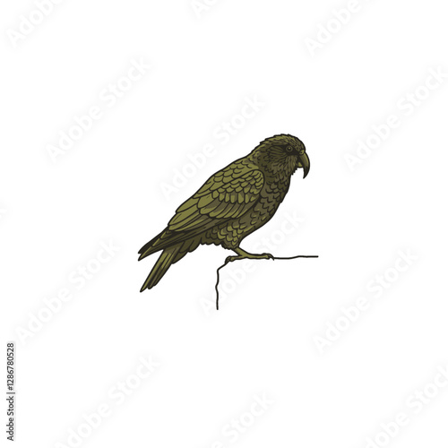 Kea Bird Vector Logo Design