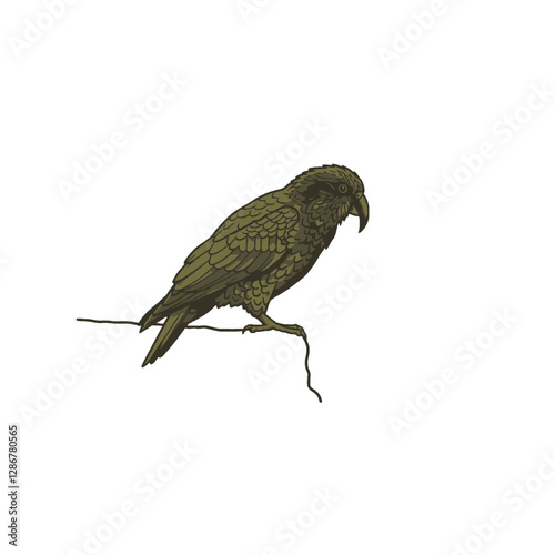 Kea Bird Vector Logo Design