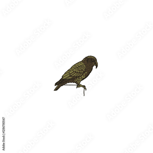 Kea Bird Vector Logo Design