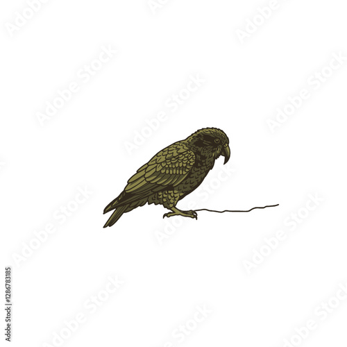 Kea Bird Vector Logo Design