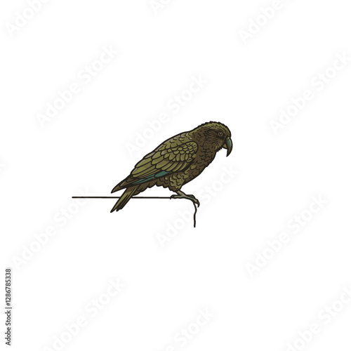 Kea Bird Vector Logo Design