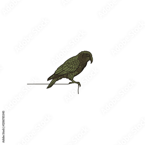 Kea Bird Vector Logo Design