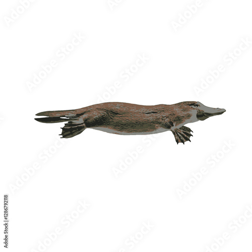 Platypus Vector Logo Design