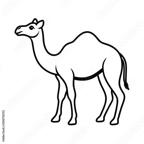 camel vector illustration