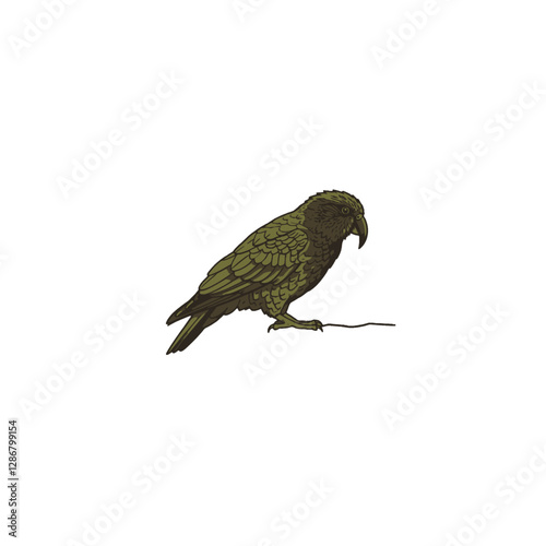 Kea Bird Vector Logo Design