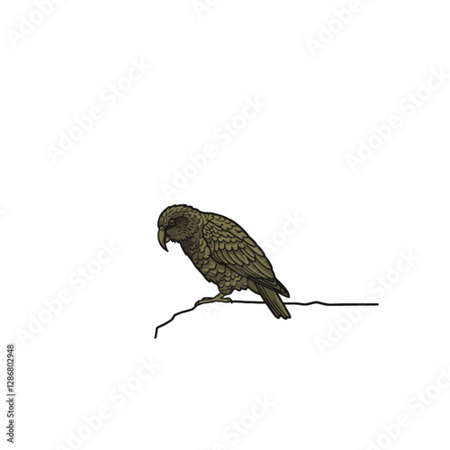 Kea Bird Vector Logo Design