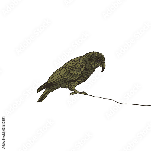 Kea Bird Vector Logo Design