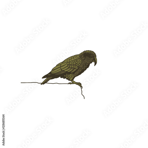 Kea Bird Vector Logo Design