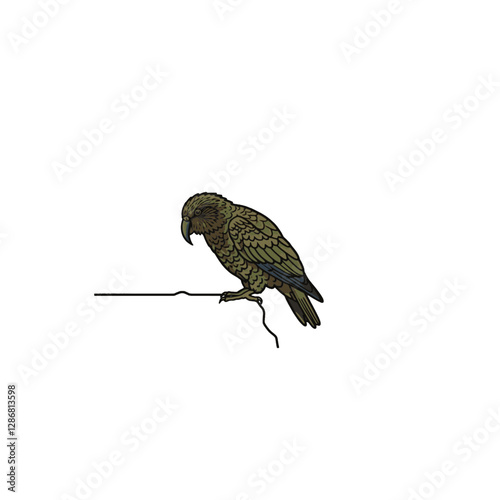 Kea Bird Vector Logo Design