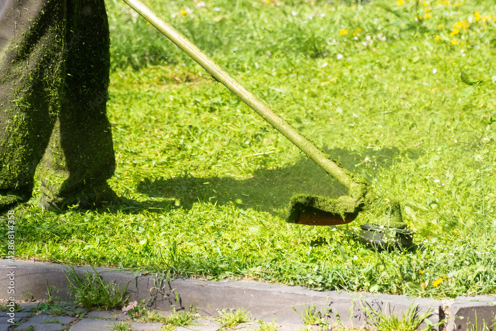 grass cutting in the park with trimmer. sunny outdoor background. lawn care nature concept. urban nature in spring season
