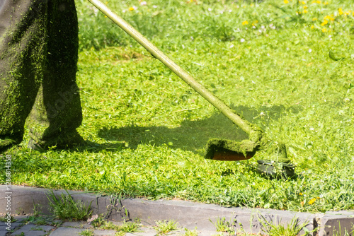 Obraz na płótnie grass cutting in the park with trimmer. sunny outdoor background. lawn care nature concept. urban nature in spring season w salonie