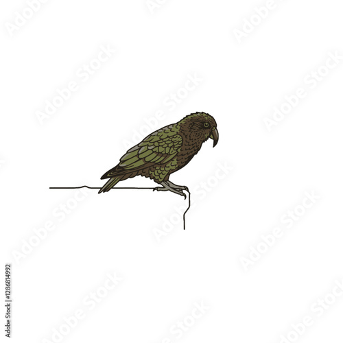 Kea Bird Vector Logo Design