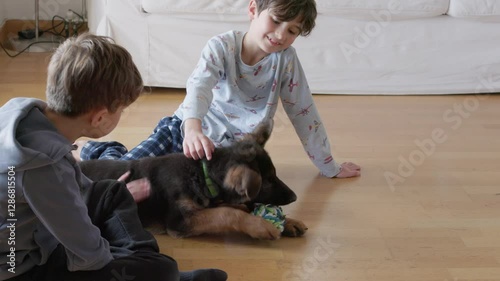 Two young boys sit on the floor of a cozy living room, interacting with a playful dog. One boy pets the dog while the other watches intently, creating a warm atmosphere.
