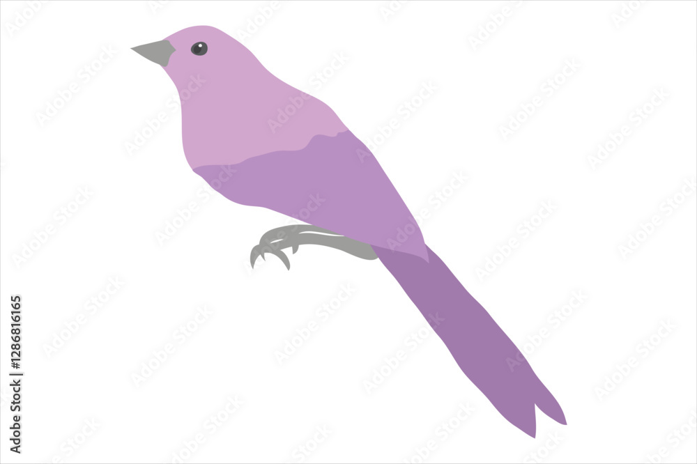 Obraz premium Vector illustration of a bird on a branch with a silhouette of a crow, showcasing nature and wildlife in a simple, cute design