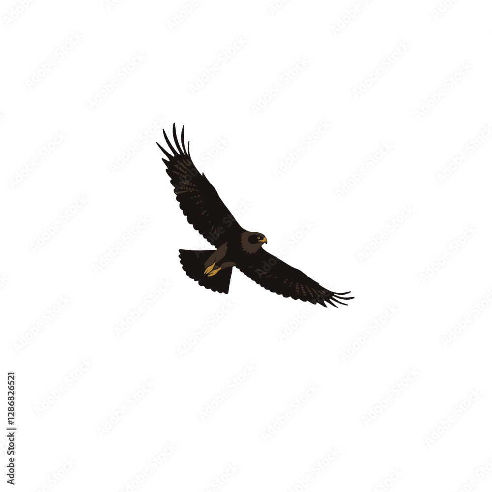 Fototapeta premium Eagle Flying Vector Logo Design