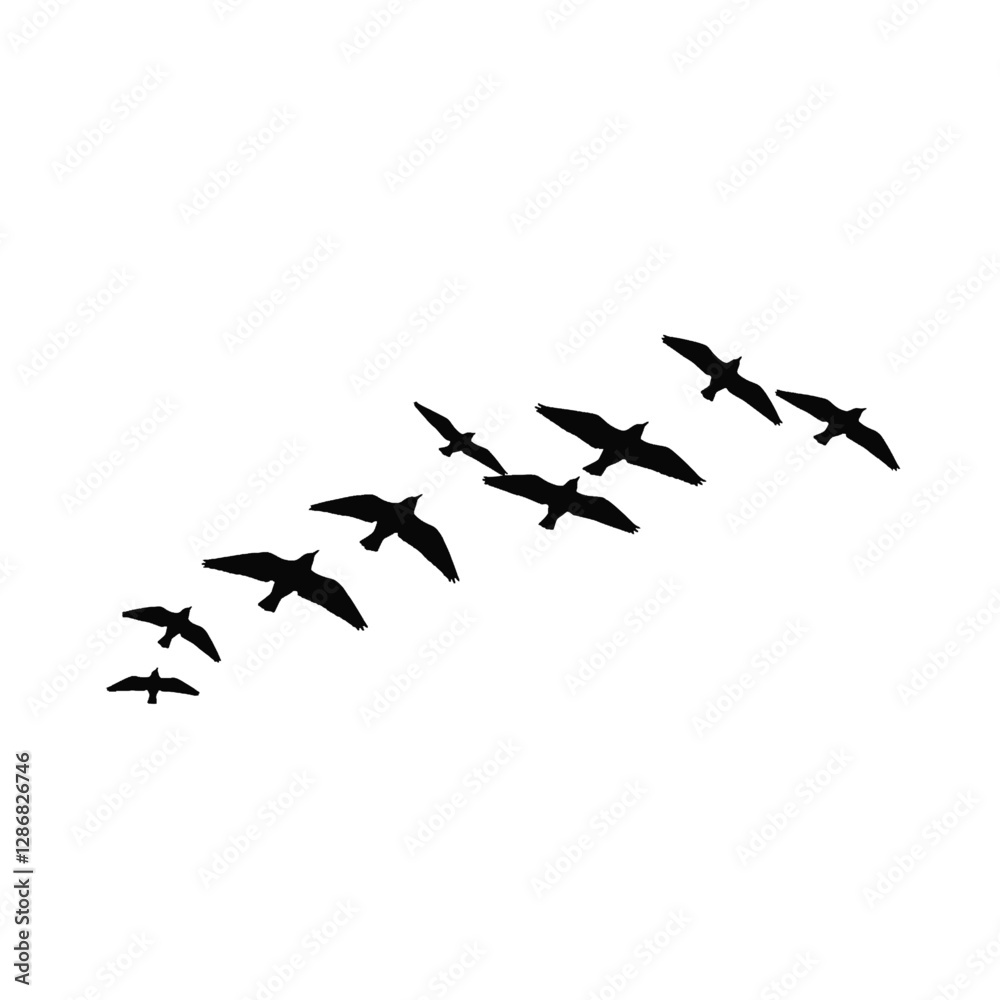 Fototapeta premium Birds Flying Vector Logo Design