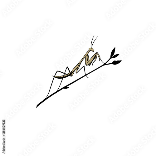 Mantis Vector Logo Design