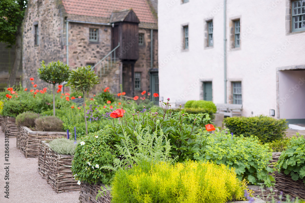 Naklejka premium Raised beds in Physic Garden, Edinburgh, UK