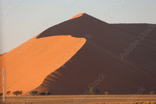 Fototapeta Naklejka Na Ścianę i Meble -  Sand dunes in Namibia