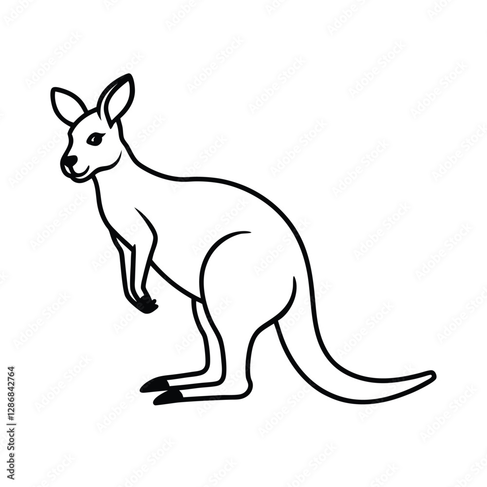 kangaroo vector illustration kangaroo vector illustration