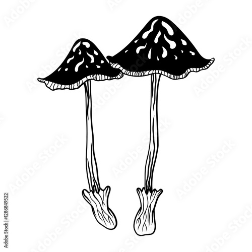 Mystical mushroom in doodle style, outline, silhouette. Whimsical, fantastic mushroom.