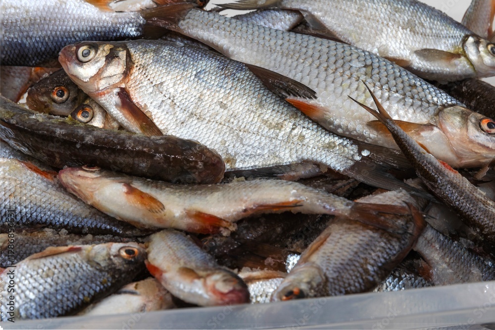 Pile of Freshly Caught River Fish, Ready for Sale and Cooking Pile of Freshly Caught River Fish, Ready for Sale and Cooking