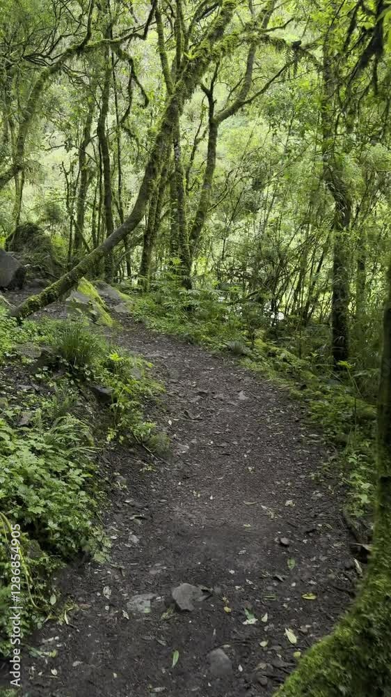 Natural trails of the Ecuadorian Amazon Natural trails of the Ecuadorian Amazon
