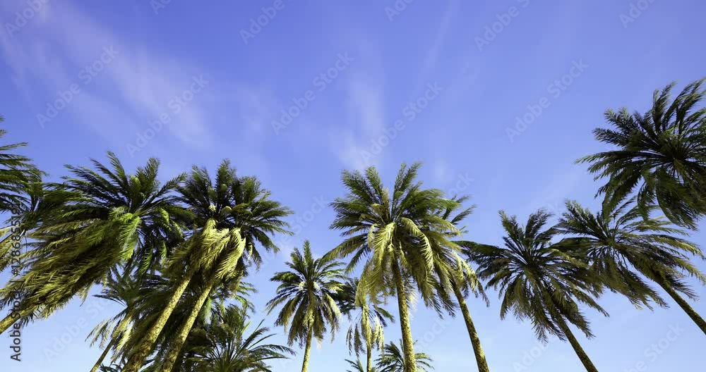 Palm trees sway gently under a clear blue sky, capturing the essence of a tropical paradise. The vibrant green leaves contrast beautifully with the bright atmosphere, inviting relaxation. Palm trees sway gently under a clear blue sky, capturing the essence of a tropical paradise. The vibrant green leaves contrast beautifully with the bright atmosphere, inviting relaxation.