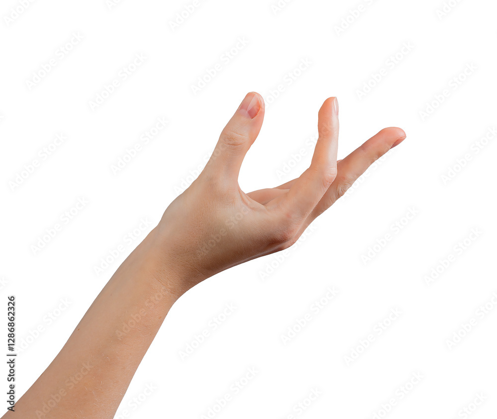 Female hand elegantly positioned in a presenting gesture, fingers gracefully curved with thumb extended as if showcasing or holding an unseen product. Symbolizing promotion, advertising, or offering. Female hand elegantly positioned in a presenting gesture, fingers gracefully curved with thumb extended as if showcasing or holding an unseen product. Symbolizing promotion, advertising, or offering.