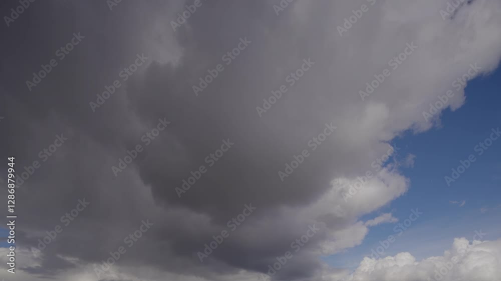 Floating Cumulus Clouds Under a Vibrant Blue Sky
Floating Cumulus Clouds Under a Vibrant Blue Sky