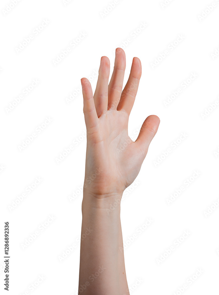 Female hand raised with palm outward, fingers slightly spread apart in a gesture of greeting, waving, or high five. Symbolizing hello, farewell, or stop. Right hand, isolated on white background. Female hand raised with palm outward, fingers slightly spread apart in a gesture of greeting, waving, or high five. Symbolizing hello, farewell, or stop. Right hand, isolated on white background.
