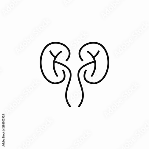 kidney organs icon sign vector