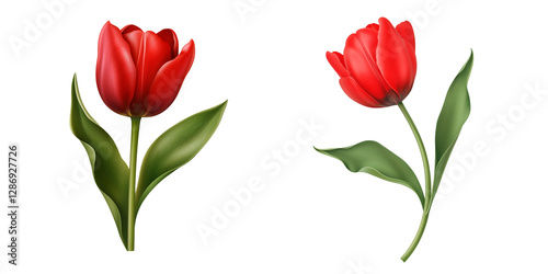 Wallpaper Mural Red Tulip Flowers with Green Leaves on Transparent Background Torontodigital.ca