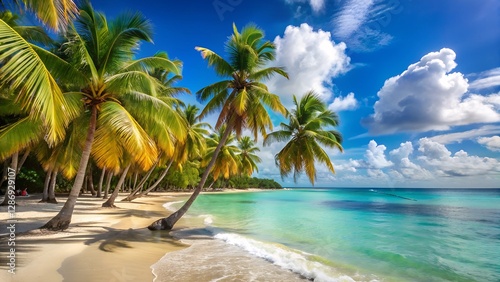 Fototapeta Naklejka Na Ścianę i Meble -  tropical beach with coconut palm trees
