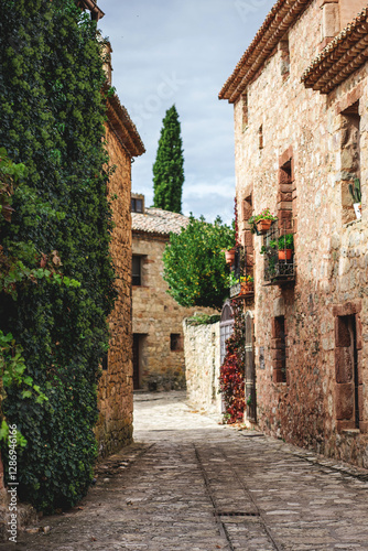 Explore cozy streets lined with ancient stone homes in Medinaceli, a charming Roman town in Spain during a peaceful afternoon