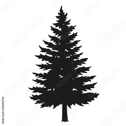 Tall evergreen tree silhouette on white