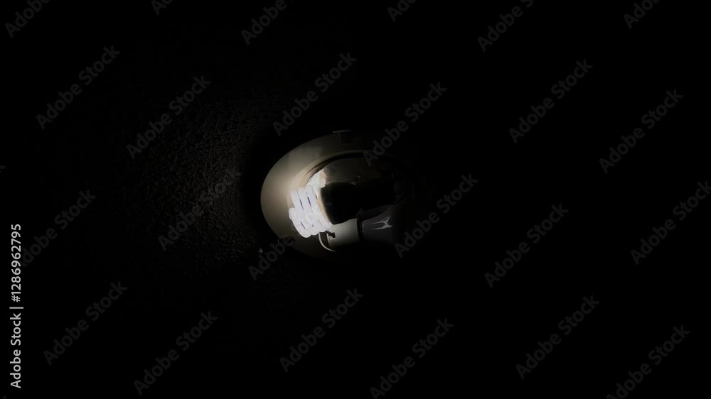 light in the darkness