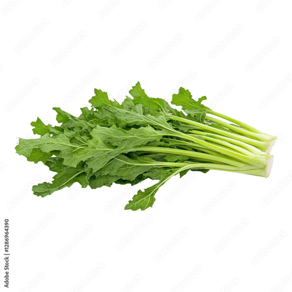Fresh green leafy vegetables with long stems, showcasing vibrant foliage and crisp texture. Fresh green leafy vegetables with long stems, showcasing vibrant foliage and crisp texture.