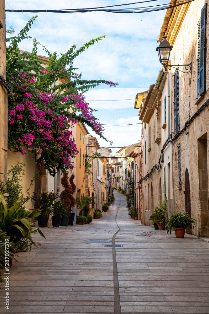 Fototapeta premium narrow street in the old town