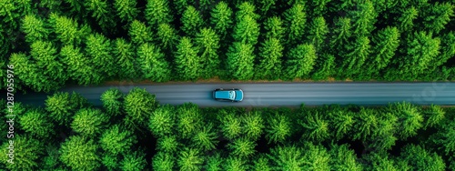 Aerial view of a car driving on a winding road through a lush green forest on a sunny summer day. Scenic travel and road trip concept in nature.