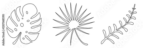 Tropic linear leaves continuous one line drawing. Vector illustration isolated on white.