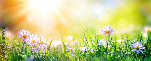 Daisies On Field - Abstract Spring Landscape  
